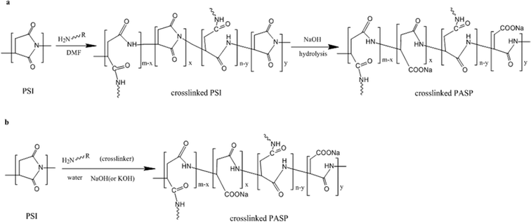 (a) Procedure of synthesizing crosslinked PASP in organic solvent; (b) procedure of synthesizing crosslinked PASP in water.