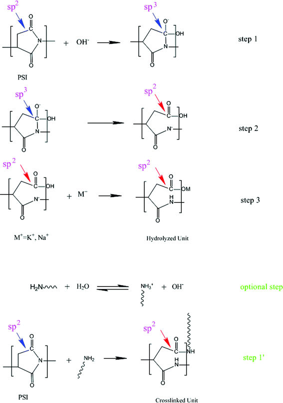 Hydrolyzing and crosslinking scheme.