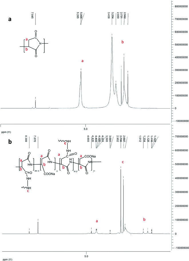 
            1H NMR spectrum of (a) PSI and (b) PASP, cross-linked by hydrazine in water.