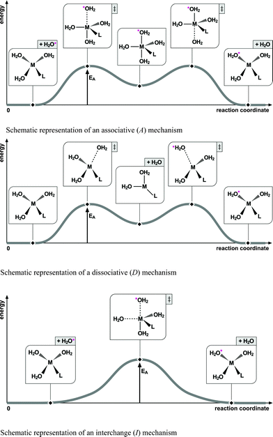 Schematic representations of the three exchange mechanisms rationalized with Langford and Gray's theory on rate-limiting mechanisms adapted to tetra-coordinated metal ions.