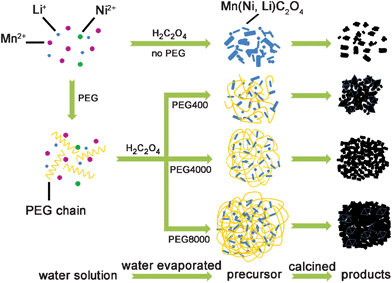 Schematic illustration of the proposed formation mechanism of LNMO hierarchical micro–nano structure.