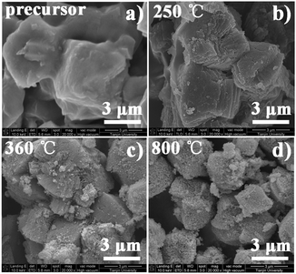 Morphology evolution during the heating process of LNMO-PEG4000 precursor.