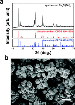 (a) XRD pattern and (b) SEM image of the synthesized Cu2Cl(OH)3.