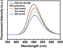 Fluorescence spectra of original PAH-Py-GA MC (1st) and after NR protrusion for different lengths of time.