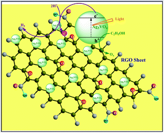 Schematic representation of RGO–silver vanadate nanocomposite preparation under visible light illumination.