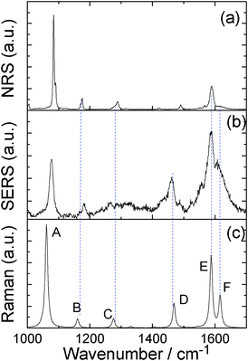 (a) NRS spectrum of PATP powder, (b) SERS spectrum of PATP, and (c) the simulated Raman spectrum of PATP adsorbed on Ag5 cluster.