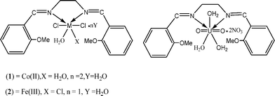 The proposed structures of the complexes.