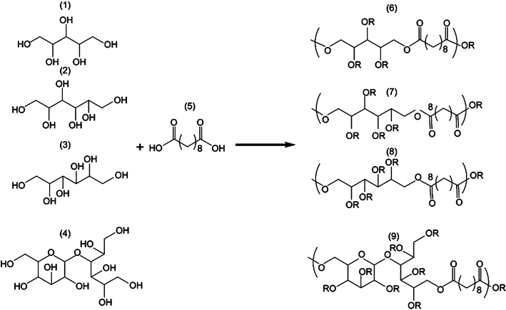 General synthetic scheme of polyol-based polymers. Xylitol (1), sorbitol (2), mannitol (3) and maltitol (4) were polymerised with sebacic acid (5) in different stoichiometries, yielding PXS (6), PSS (7), PMS(8) and PMtS (9).23 Reprinted with permission of Elsevier.