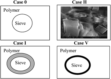 Mixed matrix membrane morphologies.