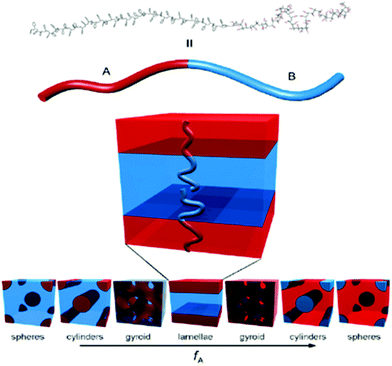 Di-block copolymer morphologies as a function of volume fraction of each segment. Reproduced with permission from ref. 52. Copyright of Elsevier B. V.