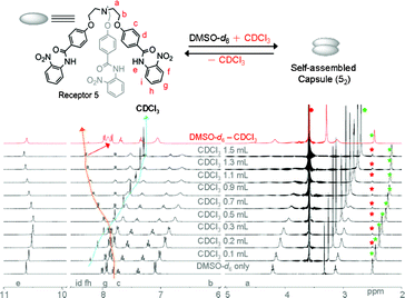 
            1H NMR (400 MHz, 20 °C) titration spectra of receptor 5 (10.3 mM) in a DMSO-d6 solution upon addition of varying amounts of CDCl3. After partial evaporation of CDCl3, the resulting spectra (in red color) merged with the original one recorded in DMSO-d6. Star marks in green and red colors in all spectra represent peaks for DMSO-d6 solvent and from the internal reference in TMS, respectively. Circle marks in green and red colors represent the residual water peaks from deuterated solvents.