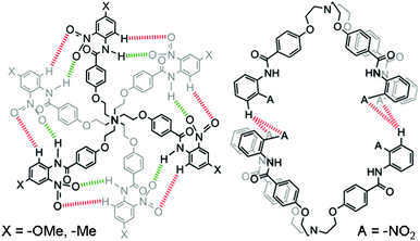 Different binding modes of hydrogen bonds in self-assembled capsules 1′2, 6′2 (left), and 52 (right). Receptors 1′ and 6′ form self-assembled capsules by seaming through cyclic array of twelve hydrogen bonds; six between aromatic C-Hs and O-atoms of the nitro groups, as shown in red color and the other six between amide N–Hs and O-atoms of the nitro groups, as shown in green color. Receptor 5 forms a self-assembled dimer by four hydrogen bonds with two hydrogen bonds between the O-atoms of two nitro groups of one molecule and meta H-atoms of the N-terminal aromatic ring of another molecule.