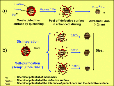 Growth mechanism of ultrasmall QDs via adjusting core–surface crystallinity.