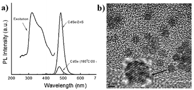 (a) PL spectra of ultrasmall CdSe and core–shell CdSe–ZnS QDs. PL excitation was measured at the maximum PL intensity for the core–shell QDs. (b) TEM image of ultrasmall CdSe–ZnS QDs. The inset image shows a QD in higher resolution.