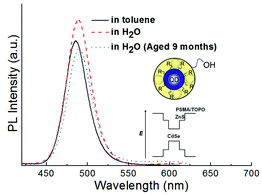 PL spectra from as-prepared (red dashed curve) and aged (blue dashed curve) water-dispersible ultrasmall QDs. The black solid curve is CdSe–ZnS without overcoating. Inset schematically shows the QDs.