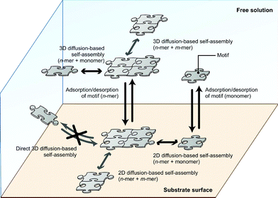 Schematic of the substrate-assisted self-assembly.