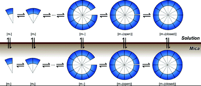 Simulation model of substrate-assisted self-assembly.