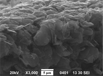 A cross-sectional SEM image of hybrid PSBS–graphene composites.