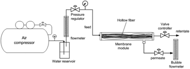 Schematic diagram of the experimental setup for CO2 separation from air by a hollow fibre membrane module.