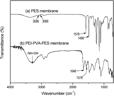 ATR-Fourier transmittance infrared (FTIR) spectroscopy for (a) pristine PES and (b) modified PES (PEI–PVA/PES).