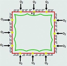 Schematic illustration for gas sensitization of Cu2O nanocubes modified with Au NPs.