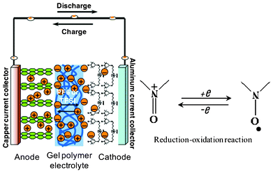 Presentation of the di-radical cell and redox reaction of the nitroxide radical.