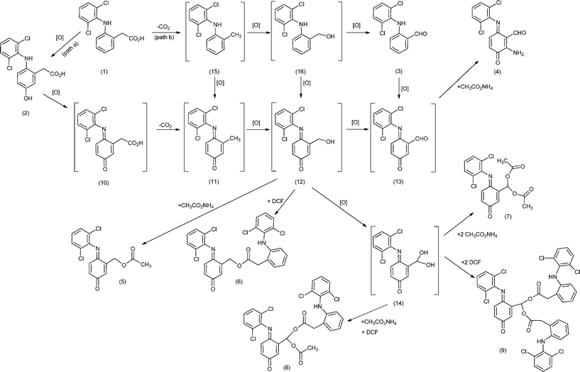 Putative mechanism for the formation of diclofenac (DCF) derivatives. The compounds between brackets are potential intermediates.