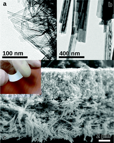 a and b: TEM image of as-synthesized small and big NWs. c: Cross-sectional FESEM image of a piece of free-standing flexible TiO2 nanowire film (inset figure), showing layered structure with small and big NWs on the top and bottom, respectively.