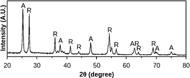 XRD patterns of NWs sintered at 550 °C for 30 min. A: Anatase peaks; R: rutile peaks.