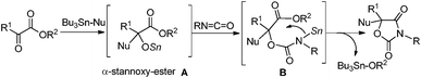 The equimolar tin-mediated reaction.