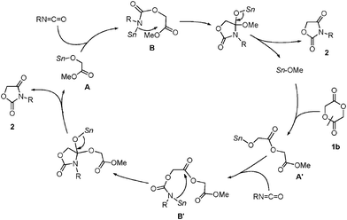 A plausible catalytic cycle in the reaction using 1b.