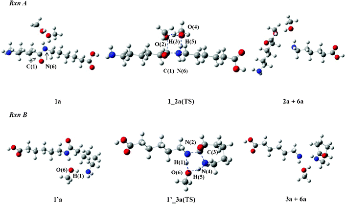 Reaction mechanisms of Rxn A and Rxn B in MeOH.