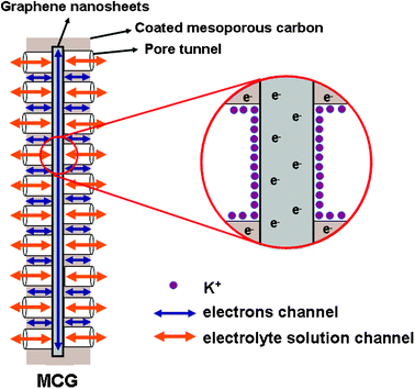 Scheme of the charging status of MCG composite.