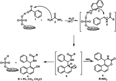 The plausible mechanism of a micelle-promoted cellulose sulphuric acid catalyzed multicomponent reaction.