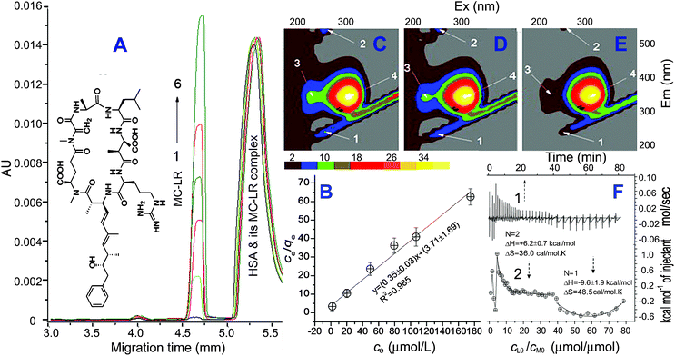 Electropherogram of 5.0 μM HSA mixed with MC-LR (1 to 6: 5, 30, 60, 90, 120 and 190 μM) (A) and plot of ce/qevs. ce (B). 3D-fluorescence of the MC-LR/HSA solutions (C to E: 0, 10, 50 and 90 μM MC-LR, all 5 μM HSA) and ITC curves (F) (1-time effect and 2-effect of cLo/cMo. The experiment was conducted by injecting 2 μL of 2.0 mM MC-LR every time into 200 μL of the ITC cell containing 10.0 μM HSA at pH 7.4 and 26 °C.).