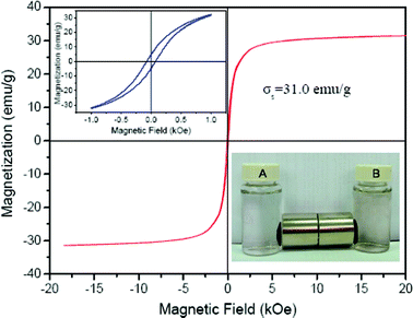 Magnetization curve at room temperature of the GO-iron oxides (inset being separation of particles of GO-iron oxides (A) and RGO-iron oxides (B) by a magnet), indicating that GO-iron oxides has high magnetism.