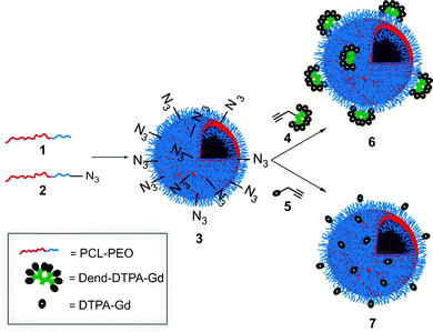 Schematic for the preparation of dendritic and non-dendritic Gd(iii)-functionalized polymersomes.