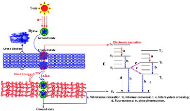 The proposed mechanism of solar thermal conversion and energy storage.