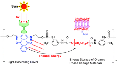 The light-driven transition diagram of the novel VLDOPCM.