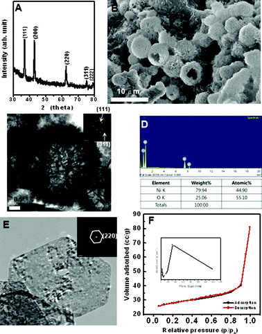 (A) XRD, (B) SEM, (C) TEM, (D) EDX spectrum, (E) HRTEM image, and (F) N2 adsorption-desorption isotherm of prepared hierarchical NiO hollow spheres. Inset are SAED patterns and pore-size distribution curve obtained from the desorption data.