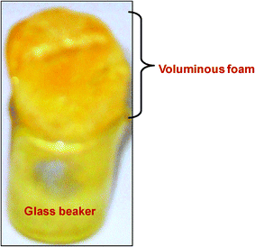 Physical appearance of the novel PVA based Sn(iv) and Cr(iii) doped In(iii) nitrate composite foam.