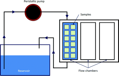 Schematic diagram of dynamic system.