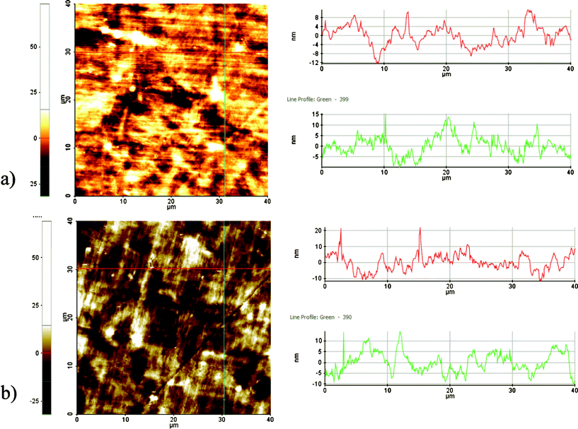 AFM images of the (a) cleaned-NT and (b) plasma cleaned- PC.