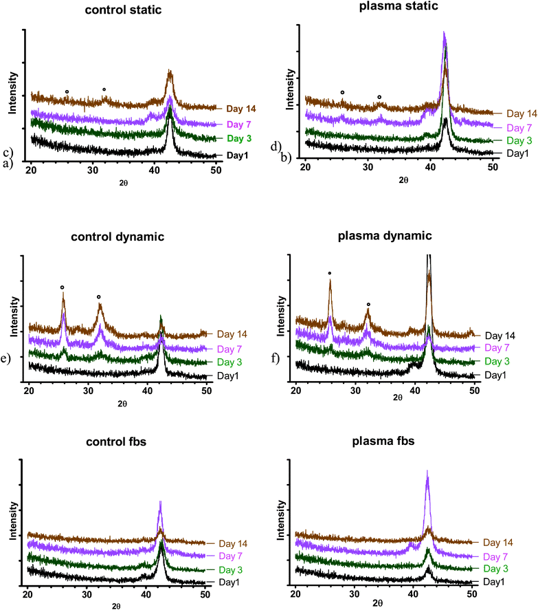 XRD spectra at various time points: a) control (NT) b) PC in static SBF; c) control (NT), d) PC in dynamic SBF; e) control (NT), f) PC in dynamic S-SBF. * indicates position of apatite peaks.