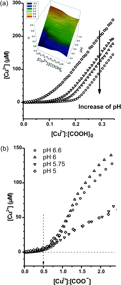 (a) Concentration of unbound Cu2+ measured by Cu-ISE during the titration of 20 mM CuCl2·2H2O (titrant, initial pH = 5) into 1.25 mM PAA (titrand) of different initial pH (i.e. 5, 5.75, 6, 6.6). The inset in the top-left corner is the 3D diagram showing the relationship among pH, α, and [Cu2+] : [COOH]0; plotted based on the results of titration experiment B. (b) By using the interpolated α, the re-plotted curves of concentration of unbound Cu2+versus [Cu2+] : [COO−] shows that the binding stoichiometry converge towards [Cu2+] : [COO−] = 0.5.