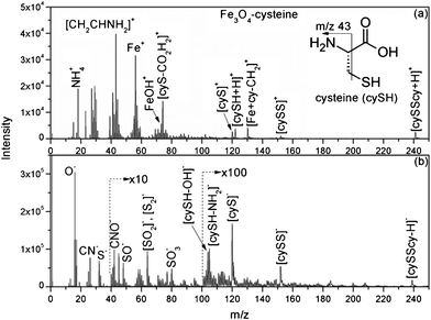 (a) Positive and (b) negative TOF-SIMS mass spectra of 2.