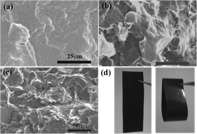 SEM micrographs of fracture surface of (a) pure PBS and NNGM/PBS composite films with (b) 2.5% and (c) 5.5%. (d) NNGM/PBS composite film with 5.5%.