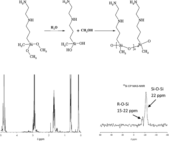 Top: 3 N-(2-aminoethyl)-3-aminopropylmethyl-dimethoxysilane (AEAPMDMS) and its reaction path (hydrolysis and condensation) to form poly-(3 N-(2-aminoethyl)-3-aminopropylmethyl-silanediol). Bottom: A 1H NMR spectrum of a D2O extract (left) and a 29Si CP MAS-NMR spectrum at room temperature (right) of P2 treated with AEAPMDMS (chemical shifts determined using TMS as the internal standard).