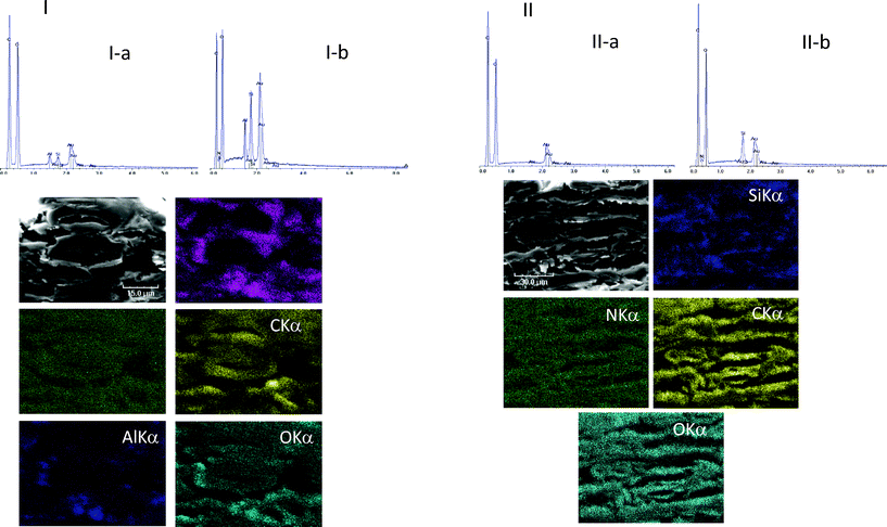 I(top): EDS spectra of the surface of B1 untreated (I-a) and treated with AEAPMDMS (I-b). I(bottom): SEM micrographs of a cross section of B1 treated with AEAPMDMS and EDS atomic mappings of Si, N, C, Al and O in corresponding areas. II(top): EDS spectra of the surface of B2 untreated (II-a) and treated with AEAPMDMS (II-b). II(bottom): SEM micrographs of a cross section of B2 treated with AEAPMDMS and EDS atomic mappings of Si, N, C and O in corresponding areas.