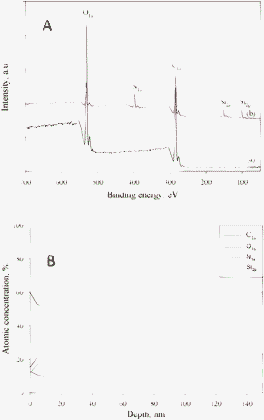 (A) XPS survey spectra of (a) untreated and (b) treated cellulose. (B) The depth concentration profile for the treated cellulose from paper P2.